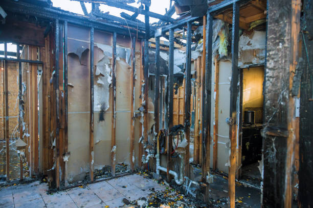 Professional Odor Removal technician working in Thorofare, NJ