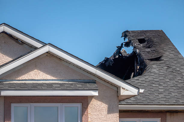 Top rated local Odor Removal specialists in Thorofare, NJ